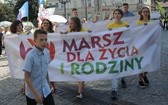 5. Marsz dla Życia i Rodziny w Bielsku-Białej 2018 - na trasie