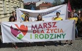 5. Marsz dla Życia i Rodziny w Bielsku-Białej 2018 - na trasie