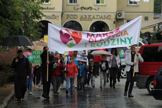 Marsz dla Życia i Rodziny w Wodzisławiu