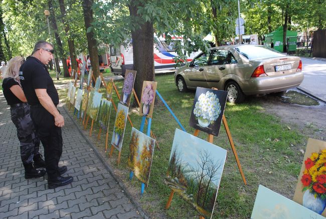 Wiklina w Rudniku nad Sanem