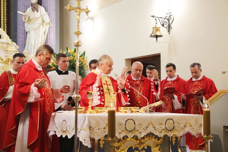 Diecezjalna pielgrzymka do św. Jana Sarkandra - Skoczów 2018