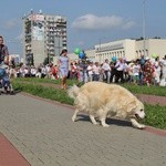 Marsz dla Życia i Rodziny w Jastrzębiu