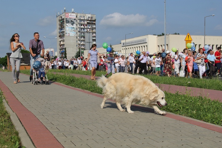 Marsz dla Życia i Rodziny w Jastrzębiu