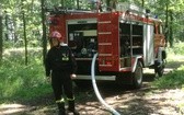 Ćwiczenia w gaszeniu pożaru lasu 