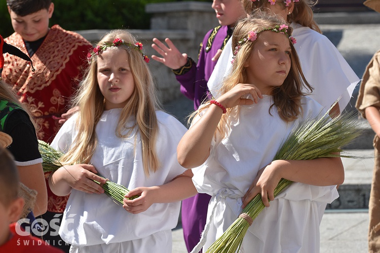 Gryfiada na rozpoczęcie obchodów 650. rocznicy śmierci Bolka II Małego