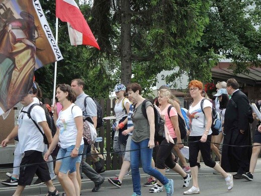 11. Piesza Pielgrzymka z Cięciny do  Kalwarii Zebrzydowskiej