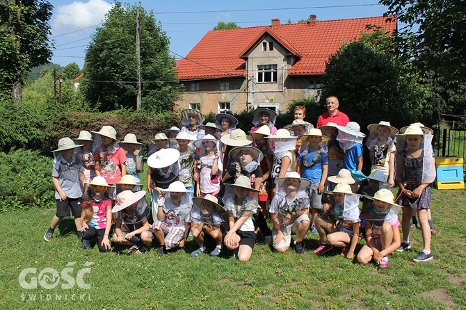 Katecheza z pszczołami