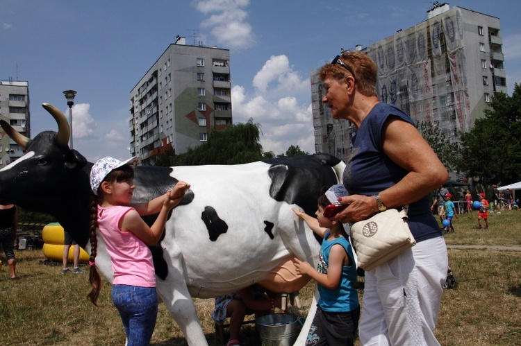 Piknik "Jesteśmy rodziną" 2018