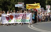 Marsz dla Życia i Rodziny w Oświęcimiu