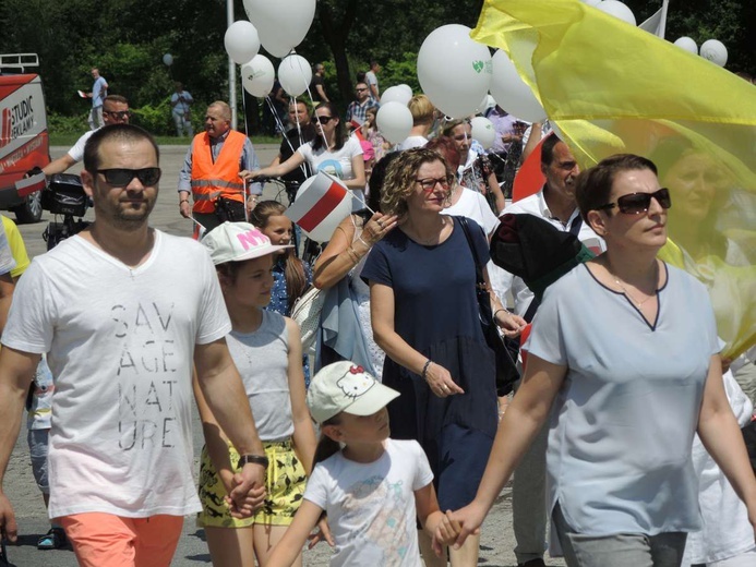 2. Marsz dla Życia i Rodziny w Żywcu - 2018