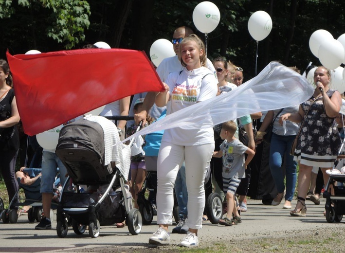 2. Marsz dla Życia i Rodziny w Żywcu - 2018