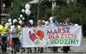 2. Marsz dla Życia i Rodziny w Żywcu - 2018