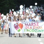 2. Marsz dla Życia i Rodziny w Żywcu - 2018