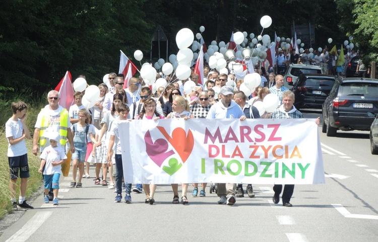 2. Marsz dla Życia i Rodziny w Żywcu - 2018