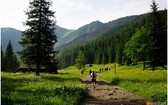 Mistrzostwa Polski Skyrunning - Zakopiański Weekend Biegowy z Sokołem