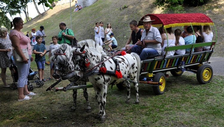 Marsz dla Życia i Rodziny w Pułtusku