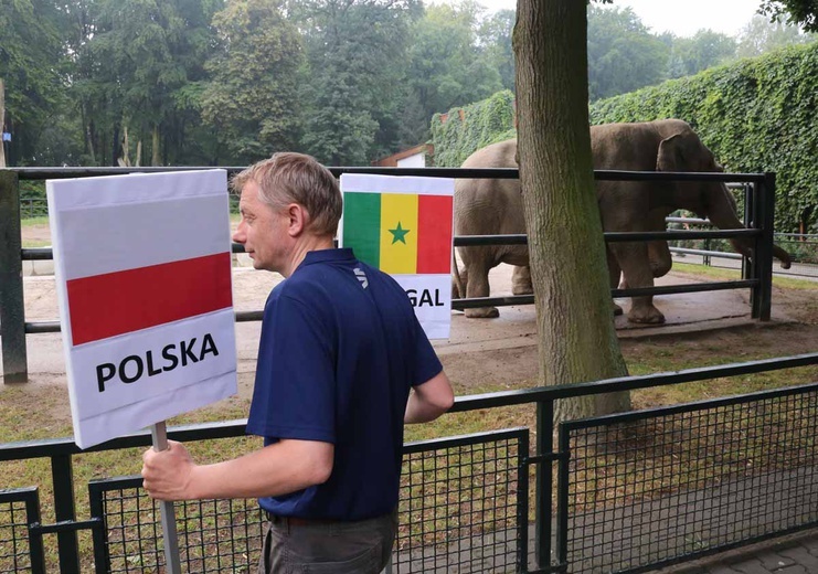 Która z drużyn wygra mecz Polska-Litwa?