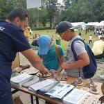 Rozstrzygnięcie konkursu na "Zielone pracownie" na Śląsku