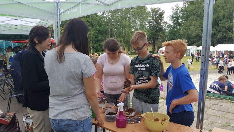 Rozstrzygnięcie konkursu na "Zielone pracownie" na Śląsku