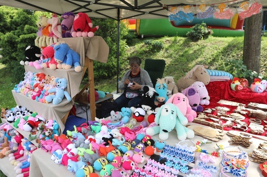 Piknik rodzinny u salezjanów w Oświęcimiu - 2018