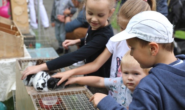 Salezjański piknik rodzinny w Oświęcimiu