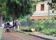 Powalone drzewa, połamane konary i zerwane dachy w budynkach mieszkalnych oraz gospodarczych - to główne straty po wichurze. Na szczęście w wyniku gwałtowanego załamania pogody nikt nie ucierpiał