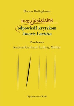 Amoris Laetitia: Pierwsza próba ujęcia problemu