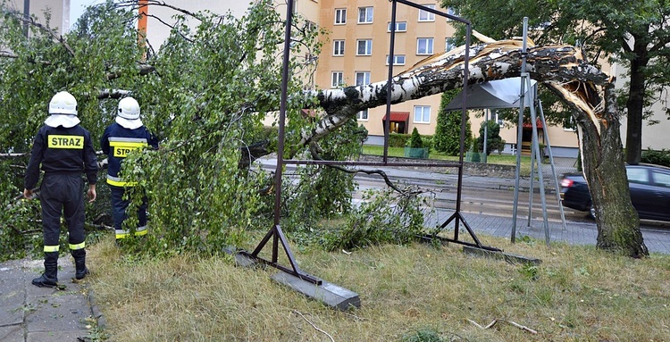 Powiat płoński po nawałnicy