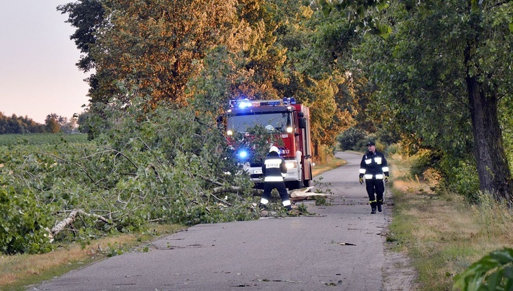 Powiat płoński po nawałnicy