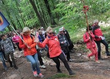 Pielgrzymka Świętych Gór - wyjście z Góry Chełmskiej