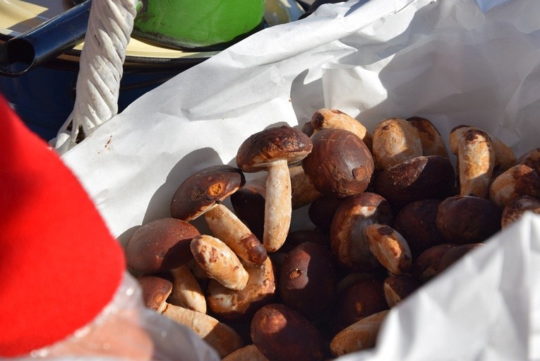 Festyn parafialny w Skierniewicach