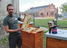 Łukasz Przybył z muzealnymi pszczołami.