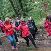 Wyjście z Góry Chełmskiej. Kierunek: Góra Polanowska.