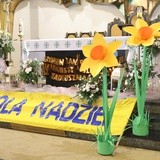 Finał kampanii Pola Nadziei w Bielsku-Białej - 2018