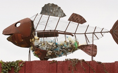 Ryba z brzuchem pełnym śmieci stojąca w fokarium Stacji Morskiej Instytutu Oceanografii Uniwersytetu Gdańskiego to symbol zanieczyszczenia Bałtyku.