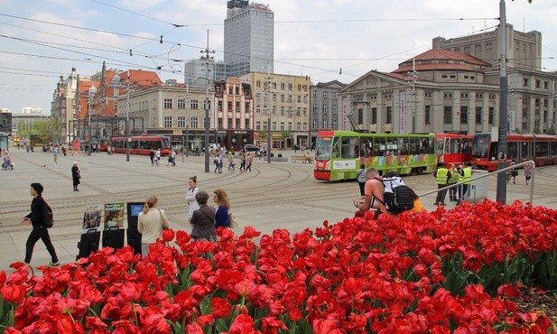 Stolica Śląska nocą bez alkoholu