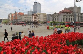 Stolica Śląska nocą bez alkoholu