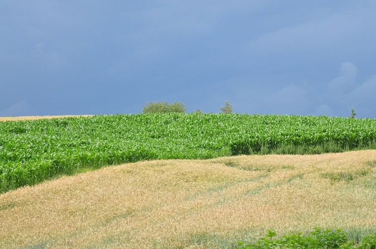 Parafia Blinów