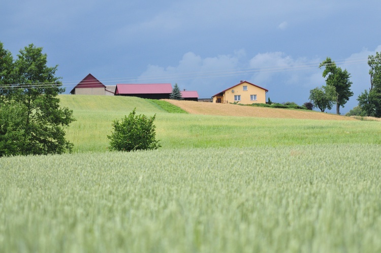 Parafia Blinów