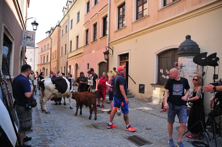 Zdjecia do serialu "Drogi wolności"