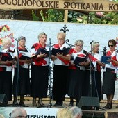 Kowale w Wojciechowie