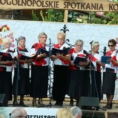 Kowale w Wojciechowie