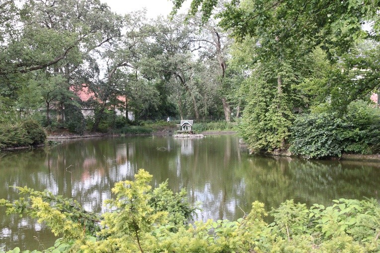 Zainspirowani Bagnem