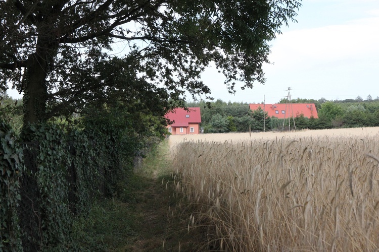 Zainspirowani Bagnem