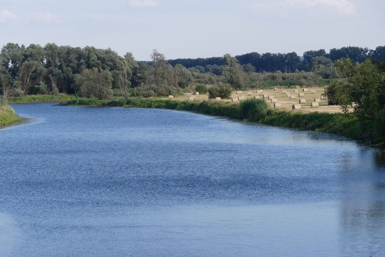 Flis Odrzański