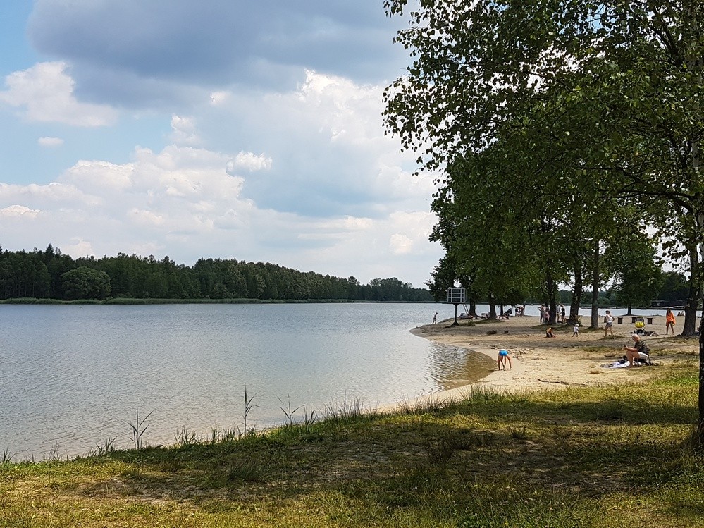 Sosina wypięknieje