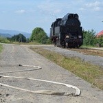 W okolicach Śnieżnicy 