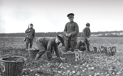 ▲	Praca polowa była ciężka, ale wielu jeńców pochodzących ze wsi wolało to niż zatrudnienie w przemyśle.