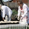 Lekcja historii pachnąca chlebem