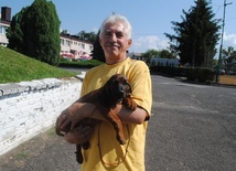 Wystawa psów w Rudniku